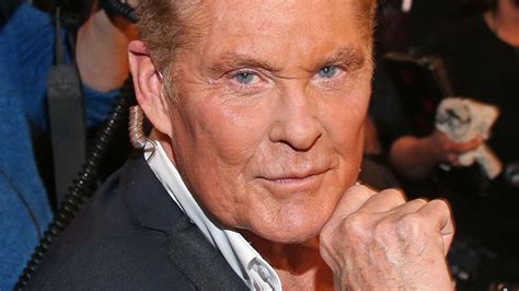 David Hasselhoff Konzert: Eine Ode an den Baywatch-Star und seine deutsche Fanbase